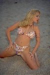 t_deb0028.jpg