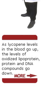 Lycopene is the pigment that makes tomatoes red. The redder the tomato, the more lycopene is present. Lycopene is one of a family of pigments called carotenoids, which occur naturally in fruits and vegetables. Other carotenoids include alpha- and beta-carotene, lutein, etc