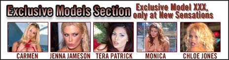 Porno Star Book